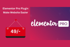 elementor1